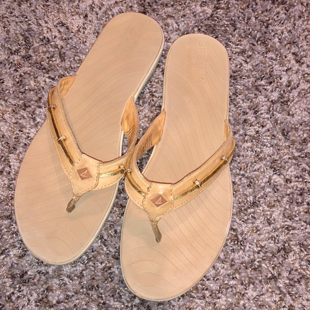 Sperry seabrook Flip Flops
